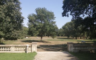 Nature et bien être